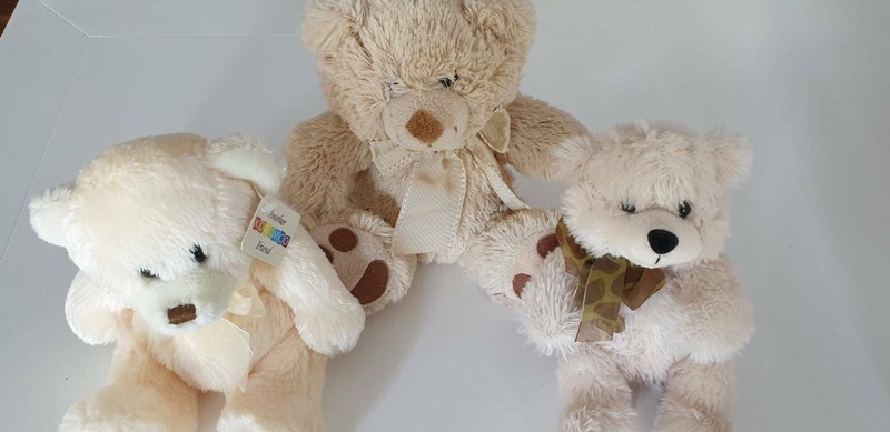 korimco teddy bear